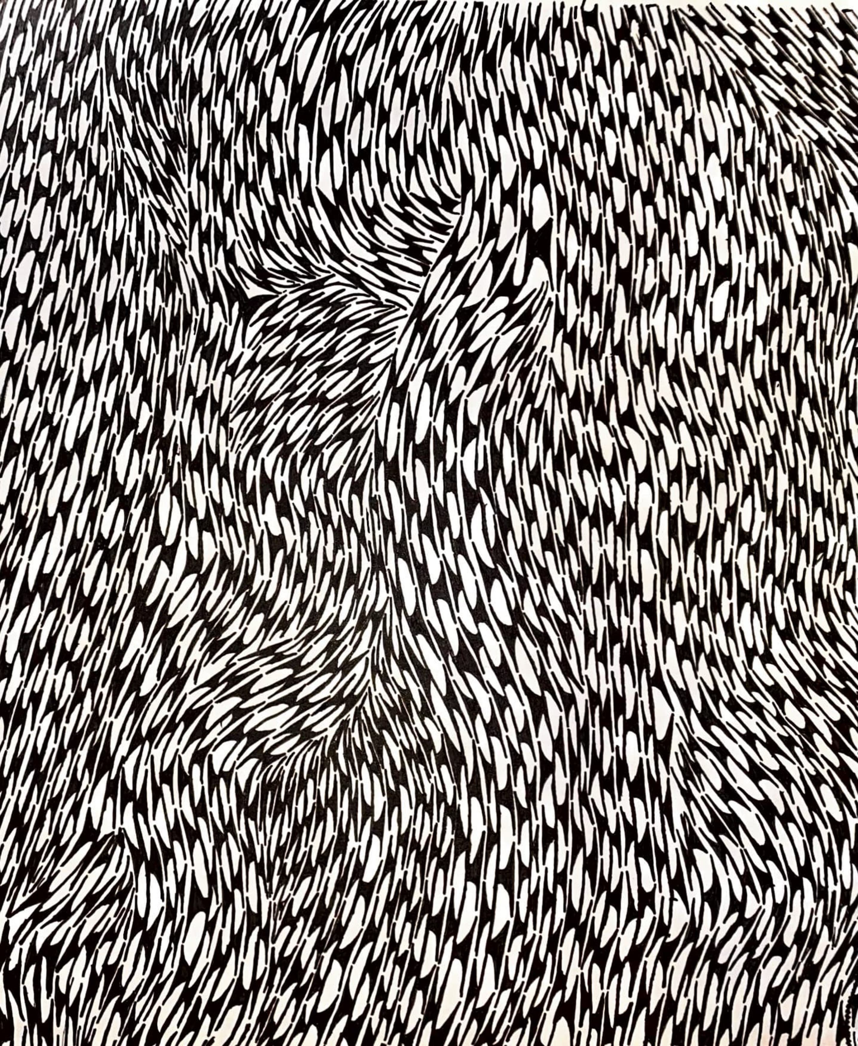 collections of drawings from 2022